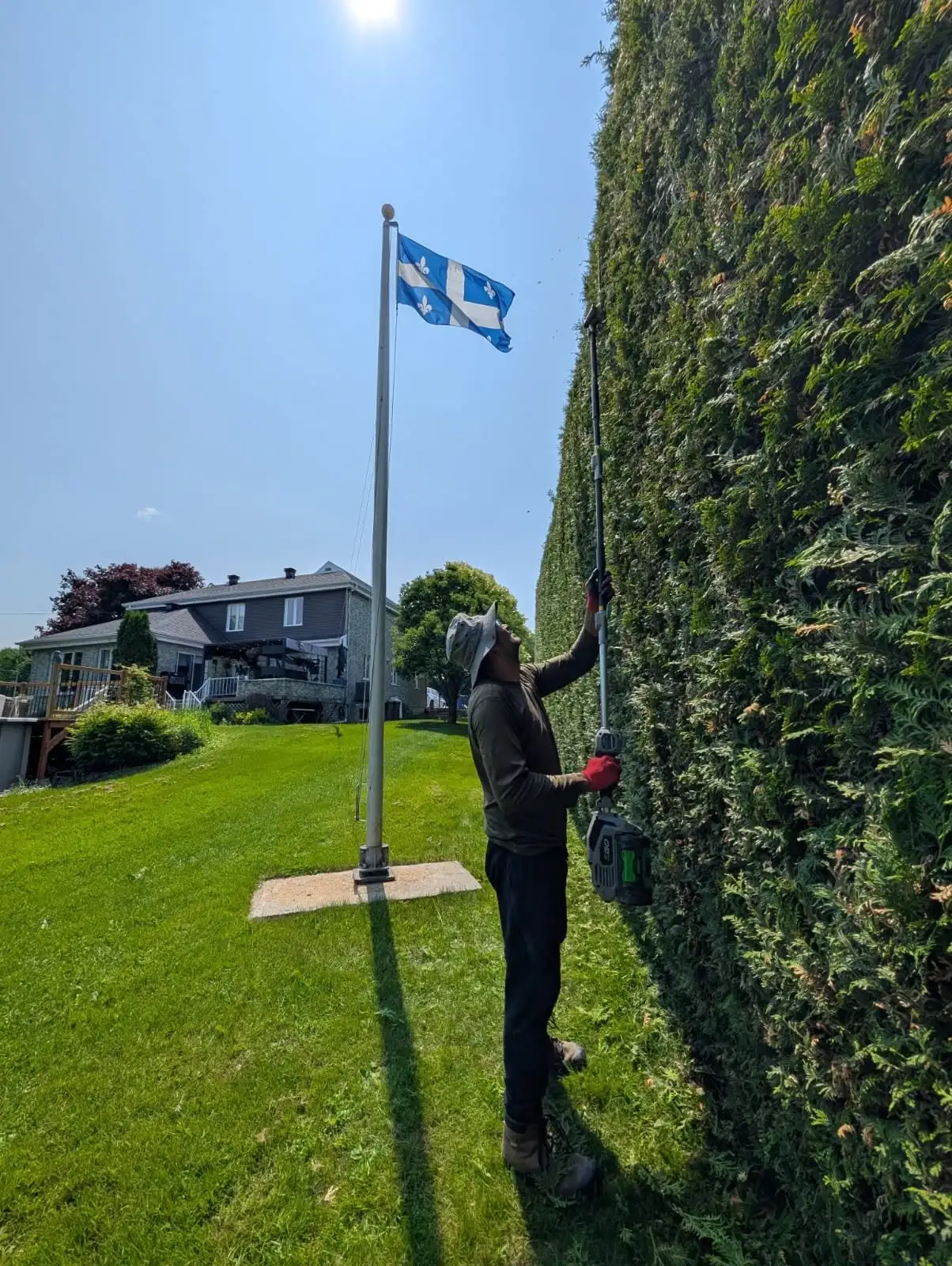 Un employé taille une très haute haie de cèdres avec un taille-haie sur perche, drapeau du Québec en arrière-plan.